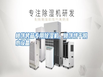 行业资讯柿饼烤箱专用除湿机，柿饼烘干脱水设备