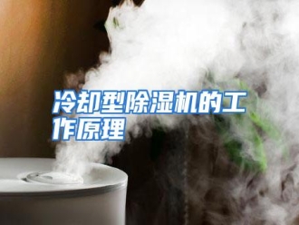 行业资讯冷却型除湿机的工作原理