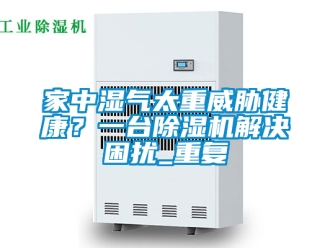 行业资讯家中湿气太重威胁健康？一台除湿机解决困扰_重复