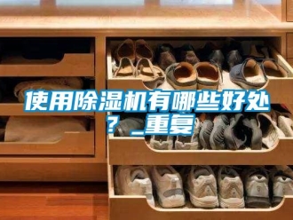 行业资讯使用除湿机有哪些好处？_重复