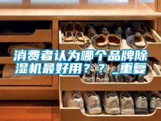 企业动态消费者认为哪个品牌除湿机最好用？？_重复