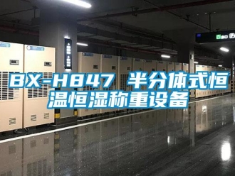 常见问题BX-H847 半分体式恒温恒湿称重设备