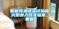 智能恒温恒湿试验箱大型步入式实验室_重复