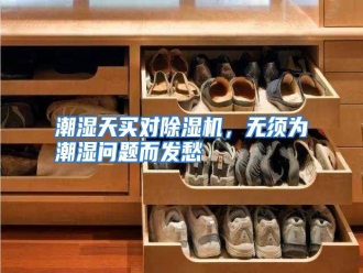 知识百科潮湿天买对除湿机，无须为潮湿问题而发愁