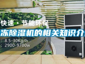 行业资讯冷冻除湿机的相关知识介绍