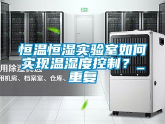 知识百科恒温恒湿实验室如何实现温湿度控制？_重复