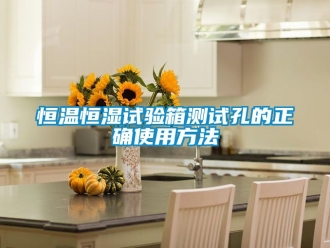 知识百科恒温恒湿试验箱测试孔的正确使用方法
