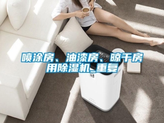 行业资讯喷涂房、油漆房、晾干房用除湿机_重复
