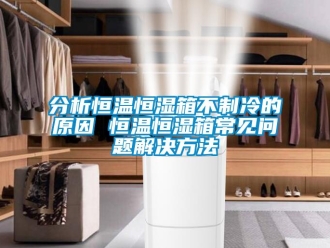 知识百科分析恒温恒湿箱不制冷的原因 恒温恒湿箱常见问题解决方法