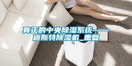 真正的中央除湿系统——迪斯特除湿机_重复