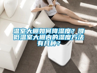 企业动态温室大棚如何降湿度？降低温室大棚内的湿度方法有几种？