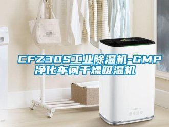 常见问题CFZ30S工业除湿机-GMP净化车间干燥吸湿机