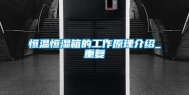 恒温恒湿箱的工作原理介绍_重复