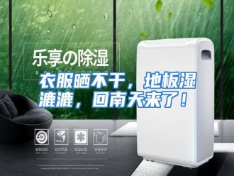 行业资讯衣服晒不干，地板湿漉漉，回南天来了！