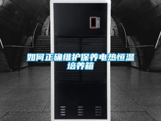 知识百科如何正确维护保养电热恒温培养箱