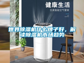 行业资讯世界除湿机什么牌子好，解读除湿机市场趋势