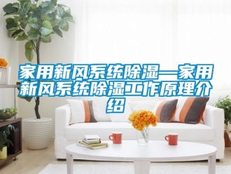 行业资讯家用新风系统除湿—家用新风系统除湿工作原理介绍