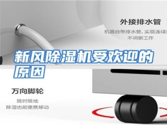 行业资讯新风除湿机受欢迎的原因