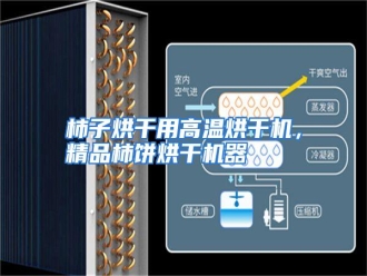 行业资讯柿子烘干用高温烘干机，精品柿饼烘干机器