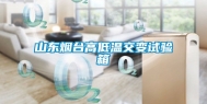 山东烟台高低温交变试验箱