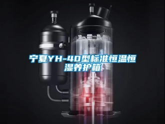 知识百科宁夏YH-40型标准恒温恒湿养护箱