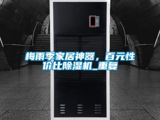 行业资讯梅雨季家居神器，百元性价比除湿机_重复