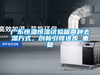 知识百科广东恒温恒湿试验箱两种去湿方式，创新引领进步_重复