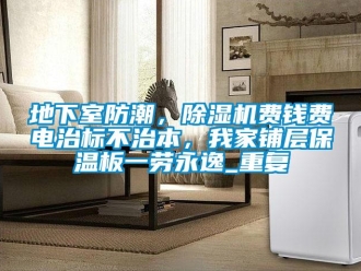 行业资讯地下室防潮，除湿机费钱费电治标不治本，我家铺层保温板一劳永逸_重复