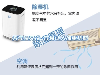 企业动态天气湿又冷 容易让人加重忧郁