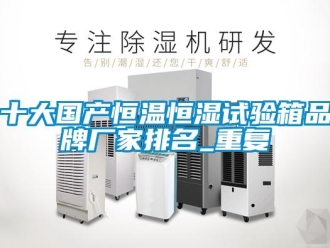 知识百科十大国产恒温恒湿试验箱品牌厂家排名_重复