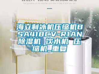 行业资讯海立制冰机压缩机BSA418CV-R1AN除湿机 饮水机 压缩机_重复