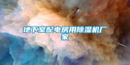 地下室配电房用除湿机厂家