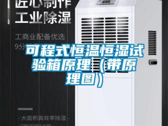 知识百科可程式恒温恒湿试验箱原理（带原理图）