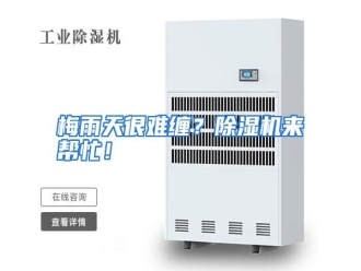 行业资讯梅雨天很难缠？除湿机来帮忙！