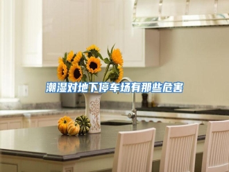 知识百科潮湿对地下停车场有那些危害