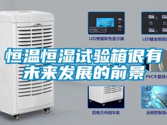 知识百科恒温恒湿试验箱很有未来发展的前景