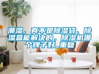 企业动态潮湿，真不是除湿袋、除湿盒能解决的，除湿机哪个牌子好_重复