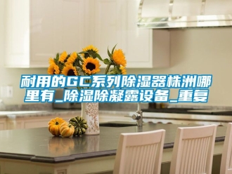行业资讯耐用的GC系列除湿器株洲哪里有_除湿除凝露设备_重复