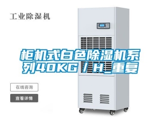 行业资讯柜机式白色除湿机系列40KG／H_重复
