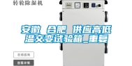 安徽 合肥 供应高低温交变试验箱_重复