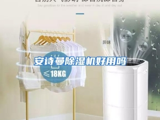 常见问题安诗曼除湿机好用吗