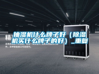 企业动态抽湿机什么牌子好（除湿机买什么牌子的好）_重复