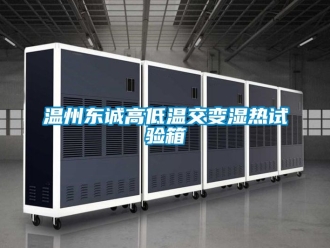 常见问题温州东诚高低温交变湿热试验箱