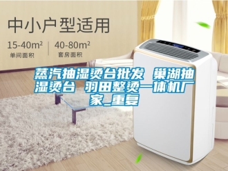 企业动态蒸汽抽湿烫台批发 巢湖抽湿烫台 羽田整烫一体机厂家_重复