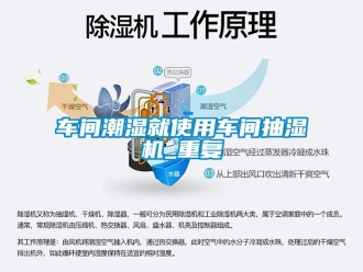 企业动态车间潮湿就使用车间抽湿机_重复