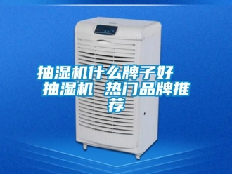企业动态抽湿机什么牌子好  抽湿机 热门品牌推荐