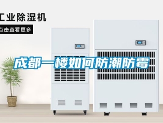 企业动态成都一楼如何防潮防霉