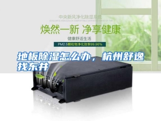 常见问题地板除湿怎么办，杭州舒逸找东井
