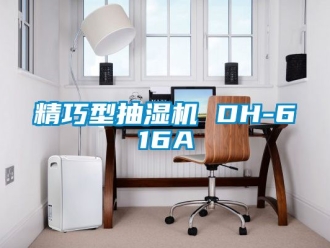 企业动态精巧型抽湿机 DH-616A