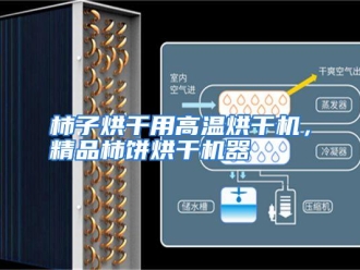行业资讯柿子烘干用高温烘干机，精品柿饼烘干机器